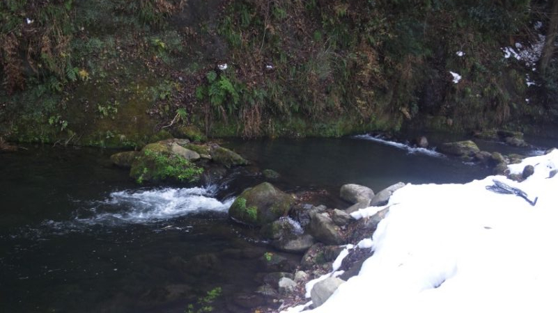 管理渓流釣り場