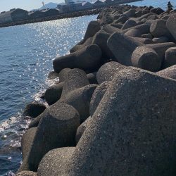 相変わらずの…