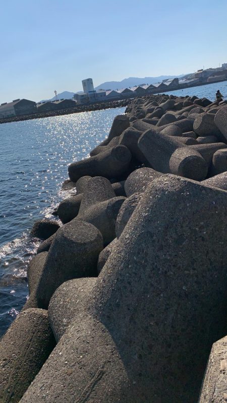 相変わらずの…