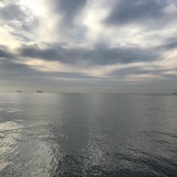 時合いは一瞬！その時…