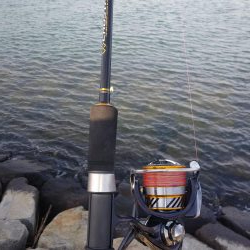 フラットフィッシュゲームNo.6