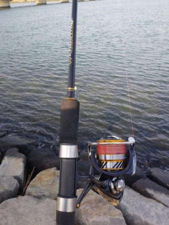 フラットフィッシュゲームNo.6