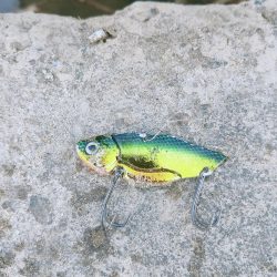 最高の釣り納め