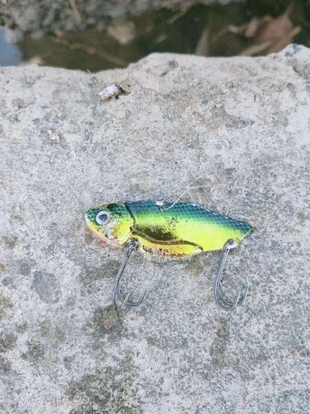 最高の釣り納め