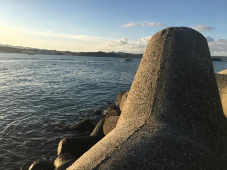 ヘダイ2匹、ベラ1匹