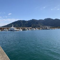 太刀魚のつもりが・・・