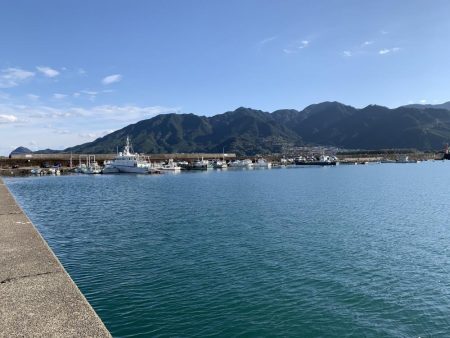 太刀魚のつもりが・・・