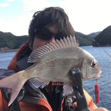 夜明け前からアジング、ロックフィッシュ、ロックショア、エギング、ショアジギの釣り