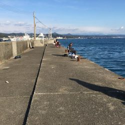 シマアジ、アイゴ。メッキ等