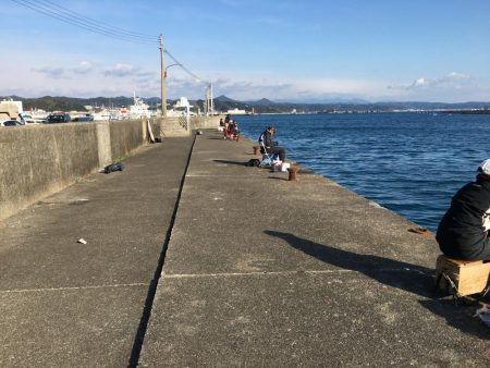 シマアジ、アイゴ。メッキ等