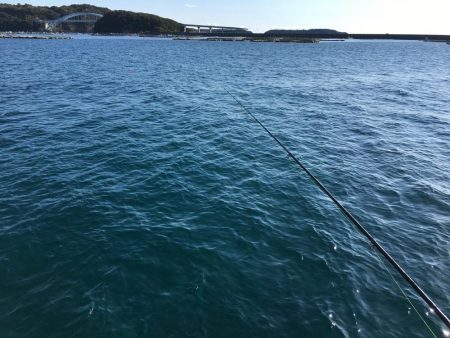 アイゴ、メッキ