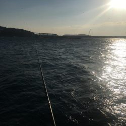 シマアジ、アイゴ、マダイ、ガシラ等