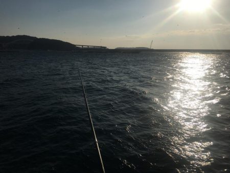 シマアジ、アイゴ、マダイ、ガシラ等