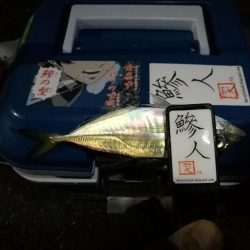 （2020/12/02 南港アジング　 良型アジ来た！アジング釣果 中アジ～（28.5㎝～）ガシラ 釣果有り）