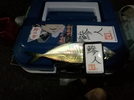 （2020/12/02 南港アジング　 良型アジ来た！アジング釣果 中アジ～（28.5㎝～）ガシラ 釣果有り）