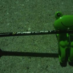 釣りデビュー　13日目