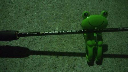 釣りデビュー　13日目