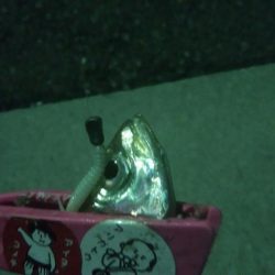 釣りデビュー 14日目