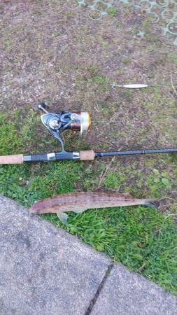 舞鶴～宮津ランガン