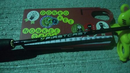 釣りデビュー 16日目