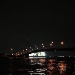 (2020/12/08 風の強い日の南港ヘチ釣り キビレチヌ40㎝ ガシラ 釣果有り)