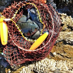 フカセ‥最高ですネ・・