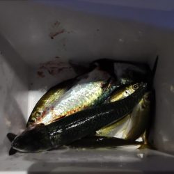 アジメバサバング