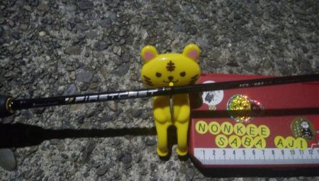 釣りデビュー 26日目