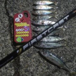 釣りデビュー 29日目