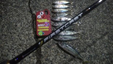 釣りデビュー 29日目