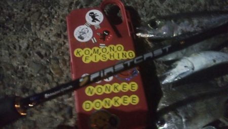 釣りデビュー   31日目