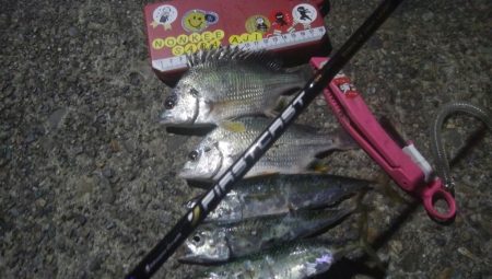 釣りデビュー　32日目