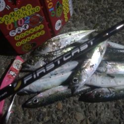 釣りデビュー 33日目