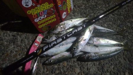 釣りデビュー 33日目