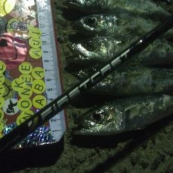 釣りデビュー　37日目