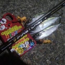 釣りデビュー　38日目