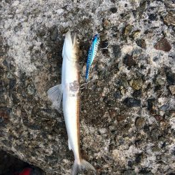 朝一プチsalt water game！