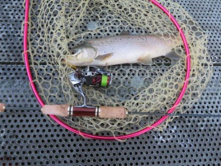 年末恒例東山湖忘年釣行