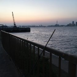 ショアジギング