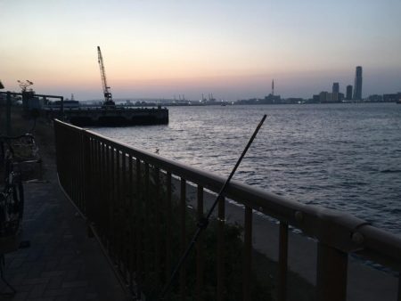 ショアジギング