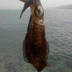 やっちまった～