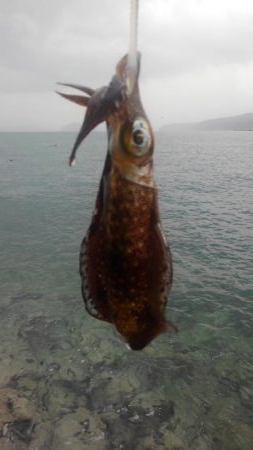 やっちまった～