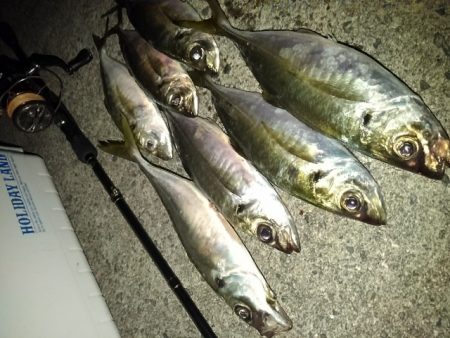 (尺アジ)フロートゲーム