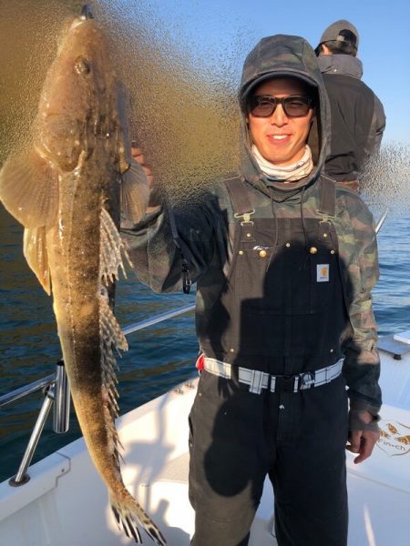 Magic（マジック） 釣果