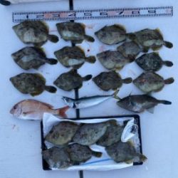 さぶろう丸 釣果