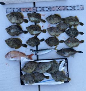 さぶろう丸 釣果