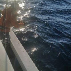 第五慶門丸 釣果