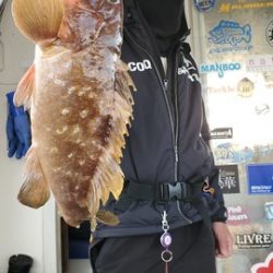遊漁船 ニライカナイ 釣果