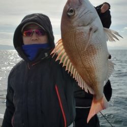 遊漁船 ニライカナイ 釣果