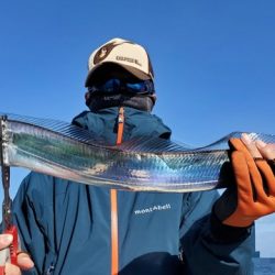 遊漁船 ニライカナイ 釣果